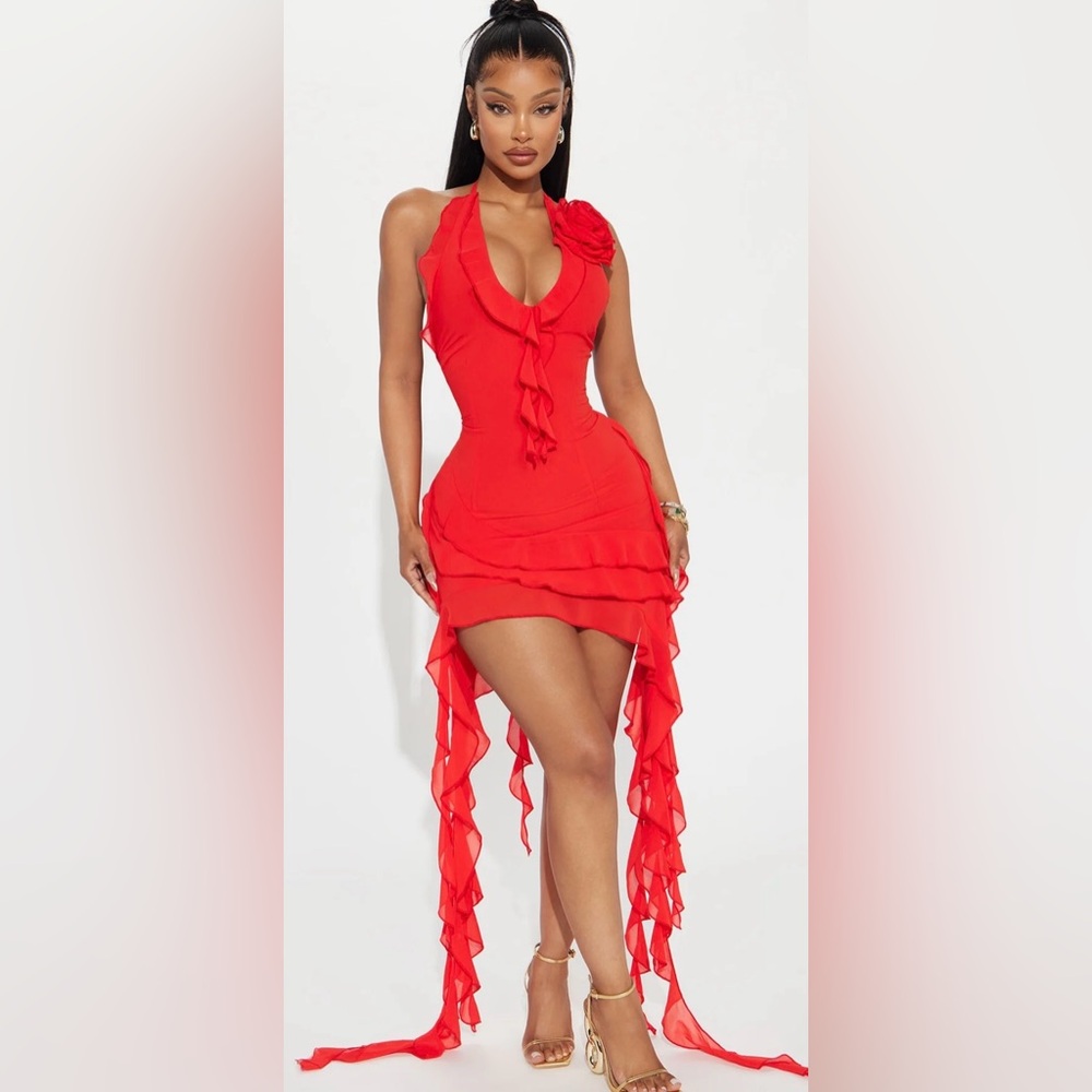 BRAND NEW Ruffles and Roses Mini Dress -Size XS